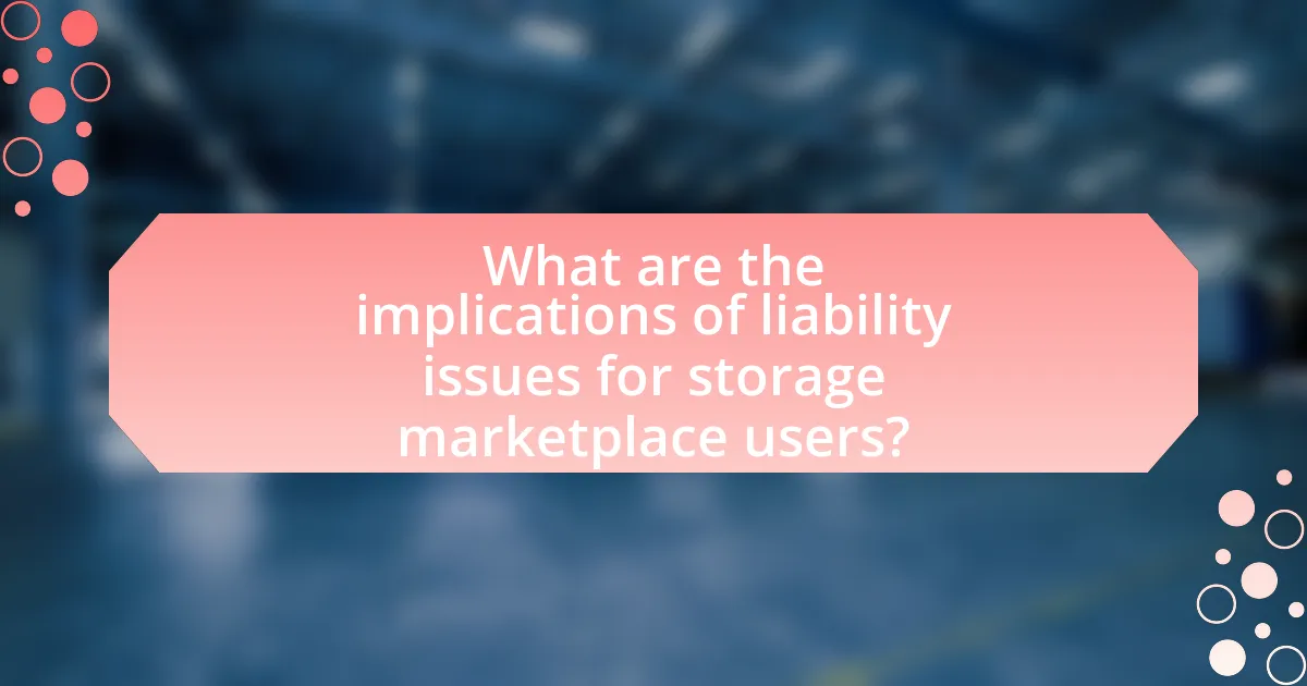 What are the implications of liability issues for storage marketplace users?