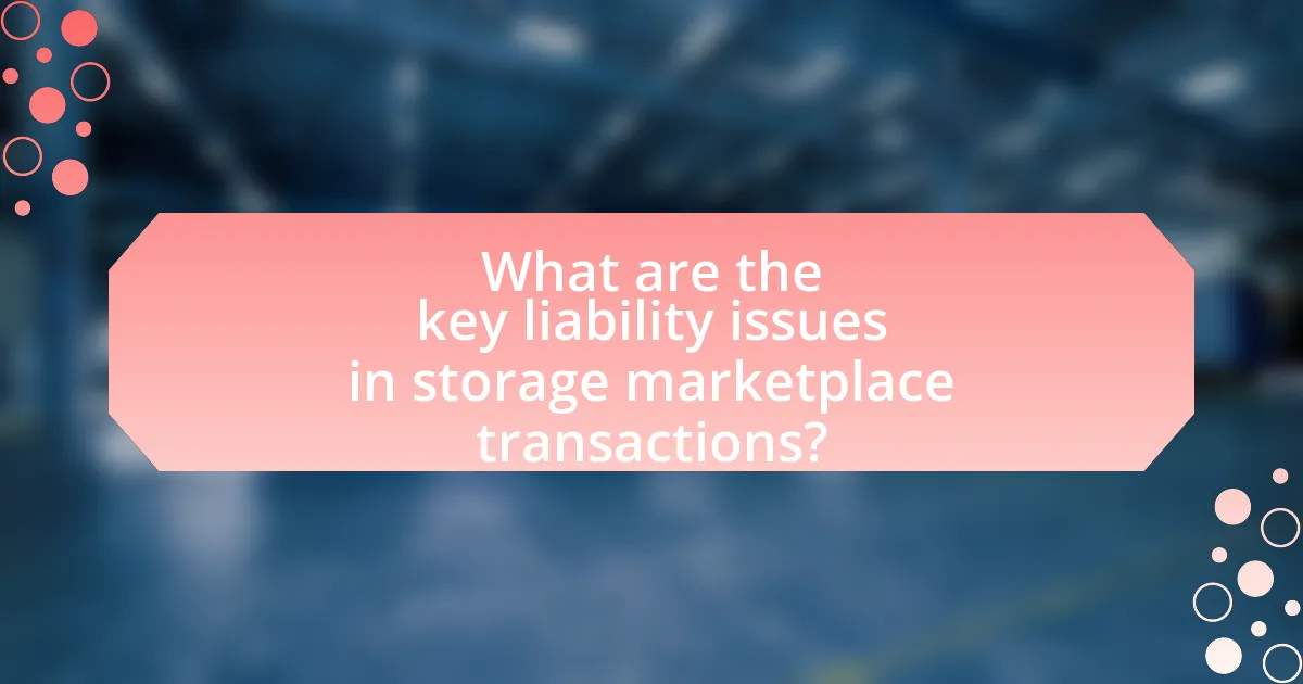 What are the key liability issues in storage marketplace transactions?